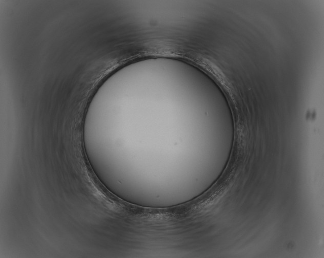 X0000091520433200708241653