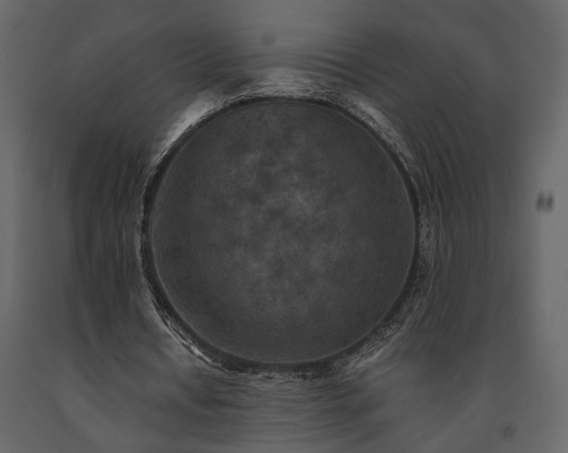 X0000091520434200708241653