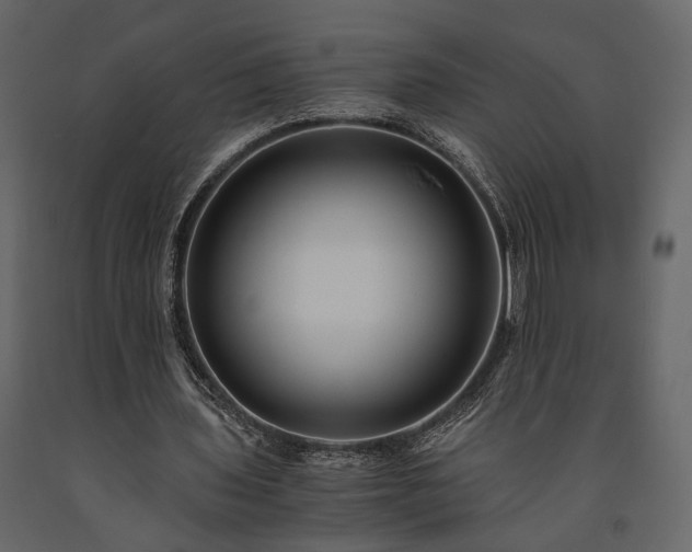 X0000091520435200708241653