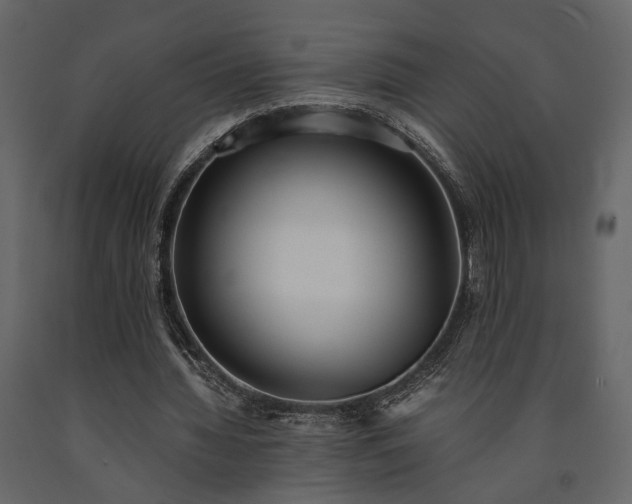 X0000091520436200708241653