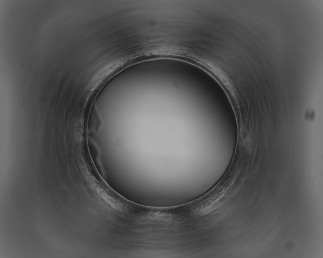 X0000091520437200708241653