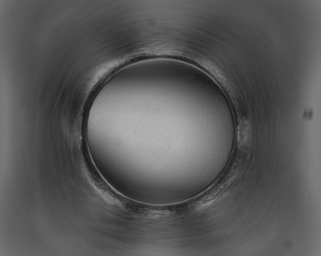 X0000091520438200708241653
