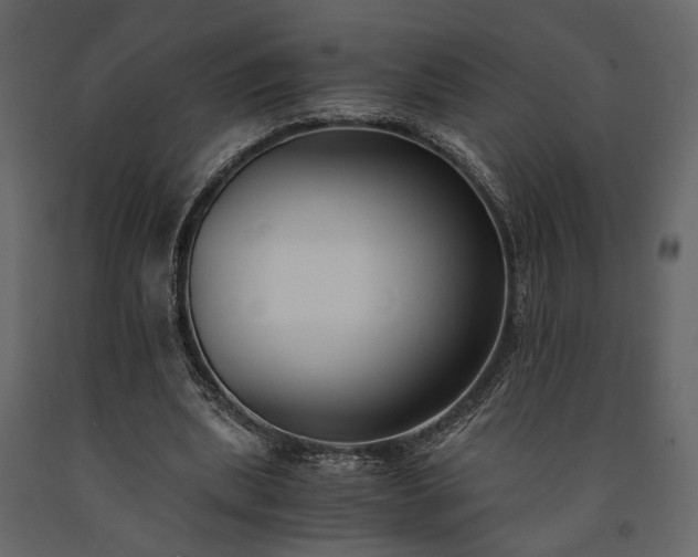X0000091520439200708241653