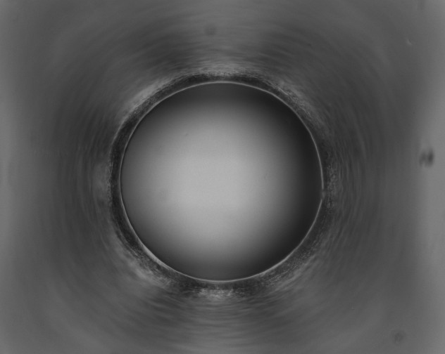 X0000091520440200708241653