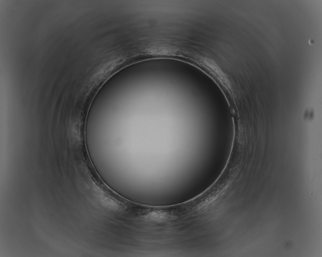 X0000091520441200708241653