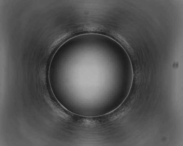 X0000091520442200708241653