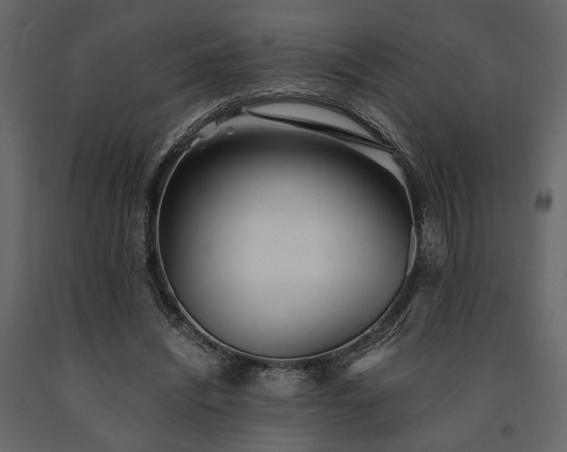 X0000091520444200708241653
