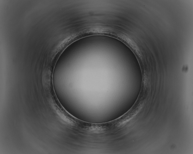 X0000091520445200708241653