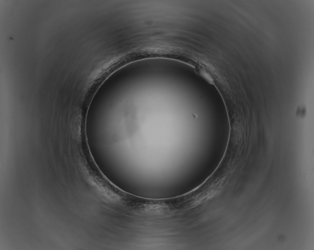 X0000091520446200708241653