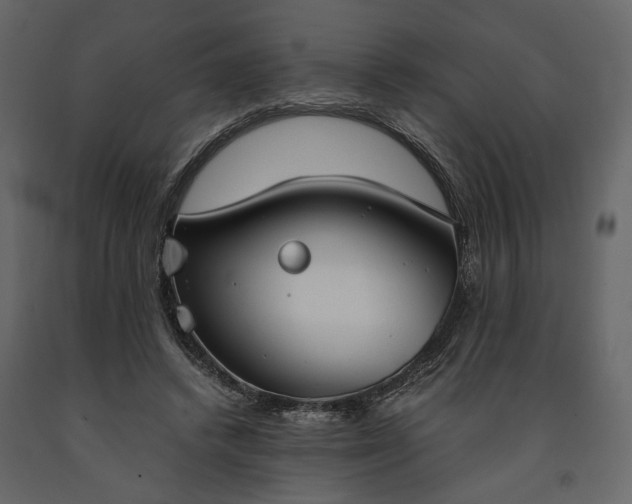 X0000091520448200708241653