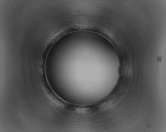 X0000091520450200708241653