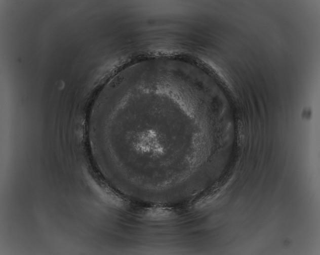 X0000091520451200708241653
