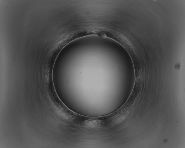 X0000091520452200708241653