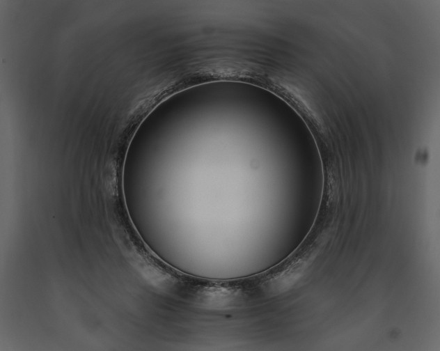 X0000091520453200708241653