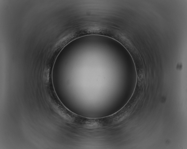 X0000091520454200708241653