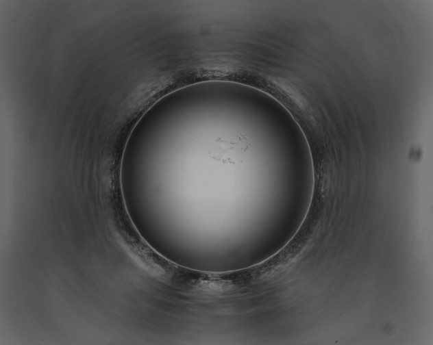 X0000091520455200708241653