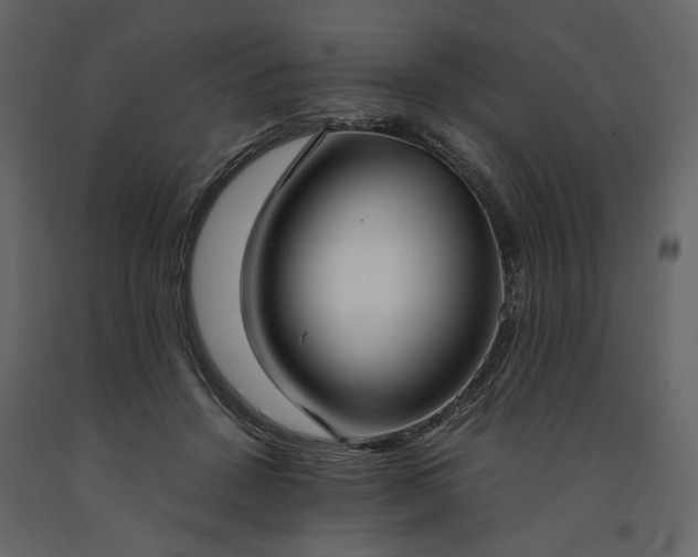 X0000091520456200708241653