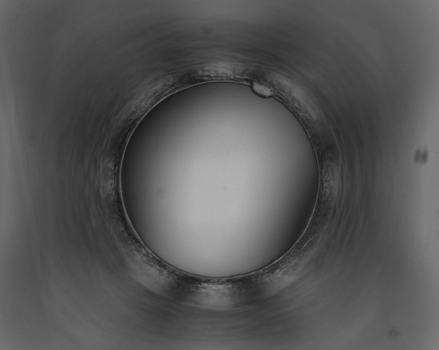 X0000091520457200708241653