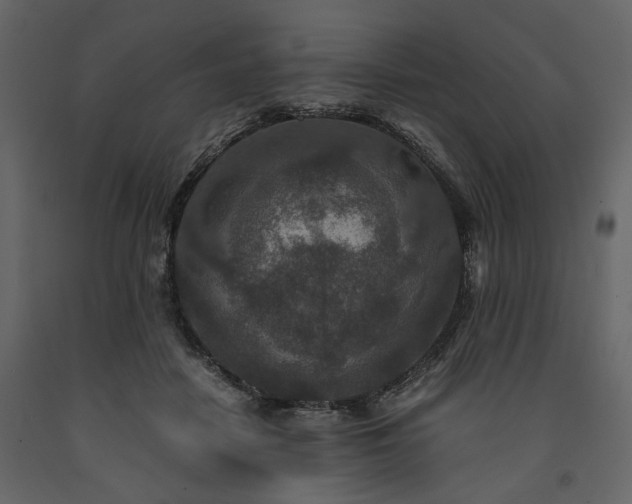 X0000091520458200708241653