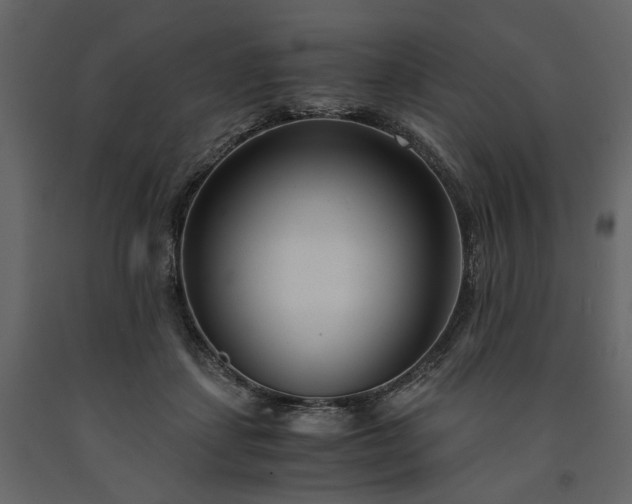 X0000091520459200708241653