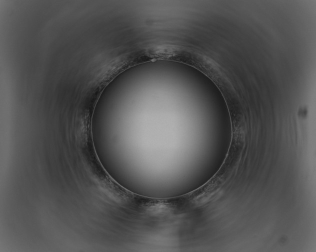 X0000091520460200708241653