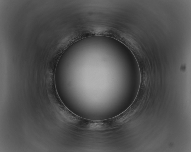 X0000091520461200708241653