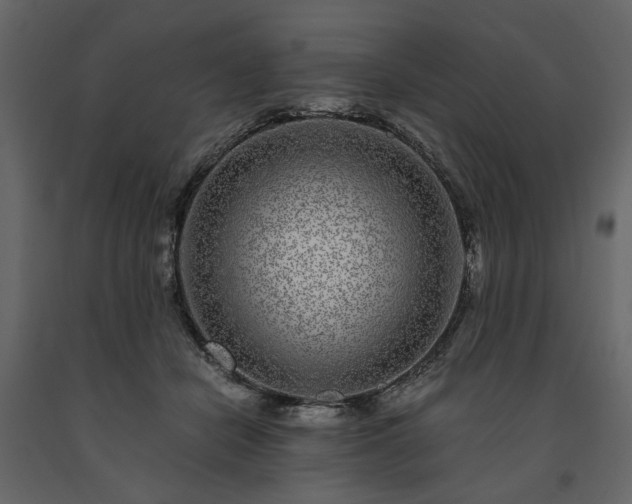 X0000091520462200708241653