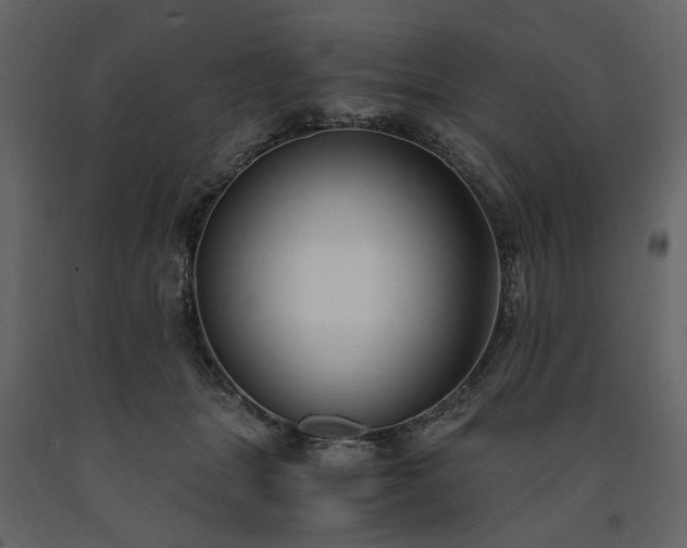 X0000091520463200708241653