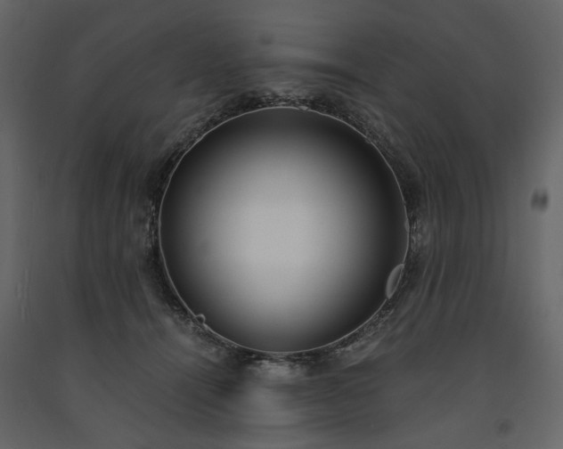 X0000091520464200708241653
