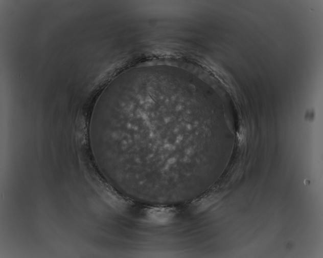 X0000091520465200708241653