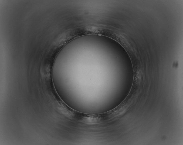X0000091520466200708241653