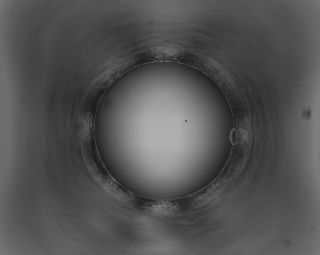 X0000091520468200708241653
