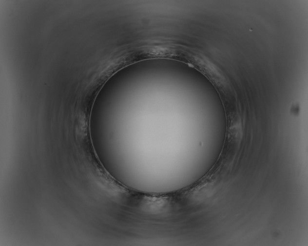 X0000091520469200708241653