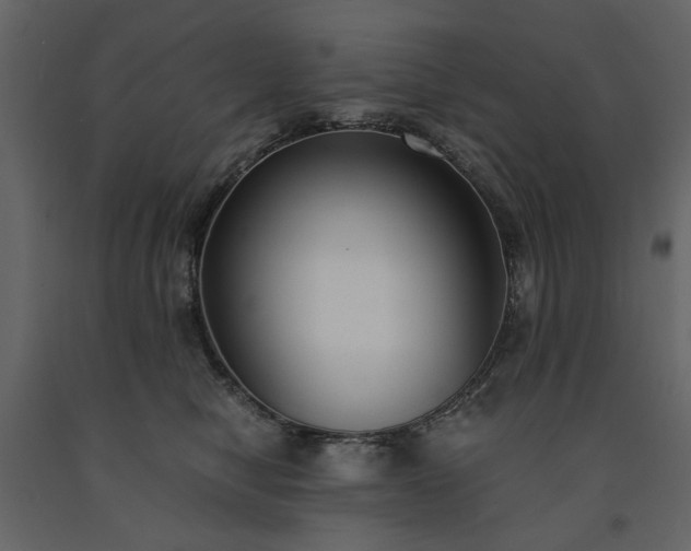 X0000091520470200708241653