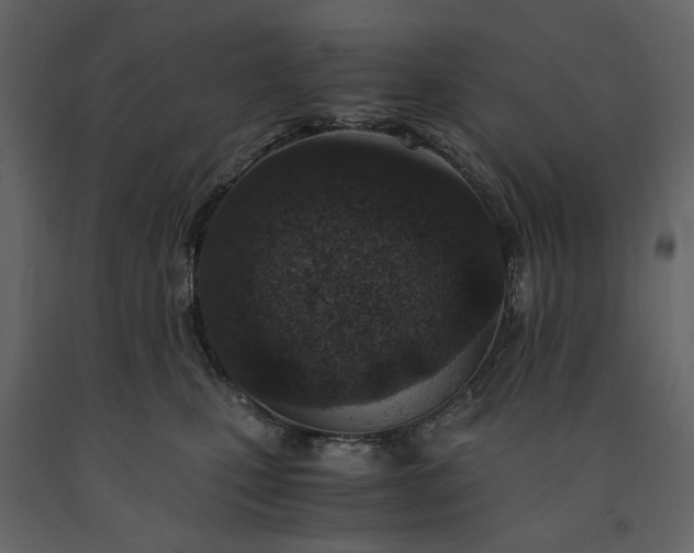 X0000091520471200708241653