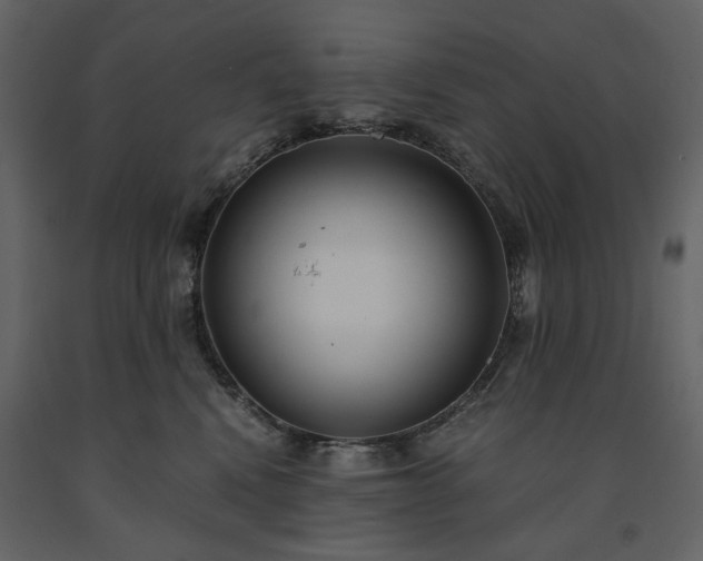 X0000091520472200708241653