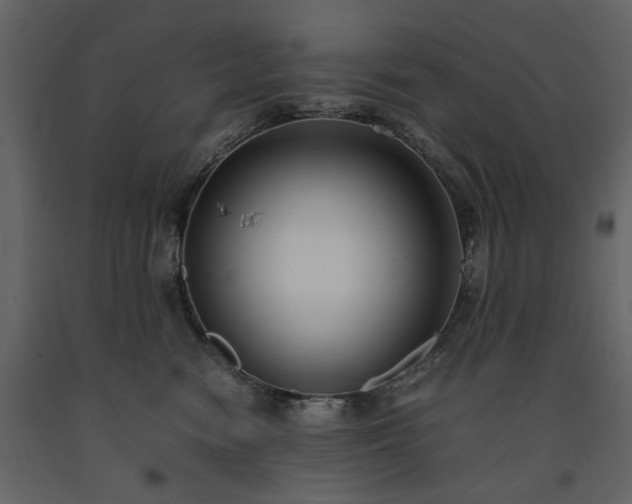 X0000091520474200708241653