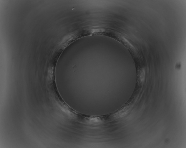 X0000091520475200708241653