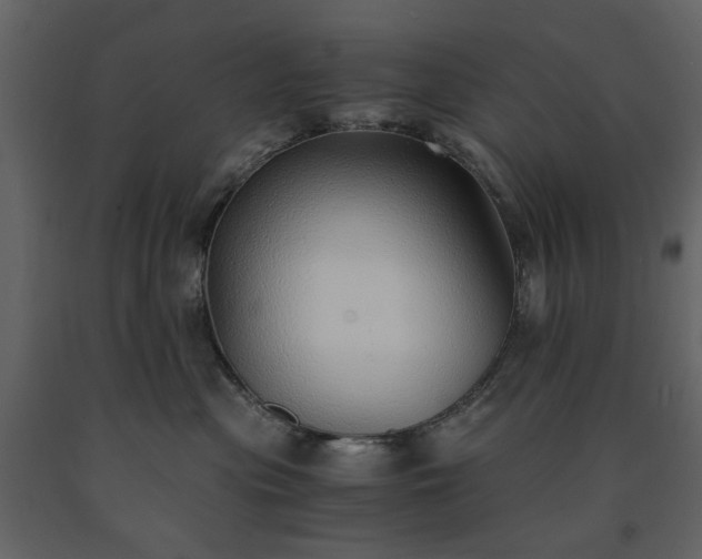 X0000091520477200708241653
