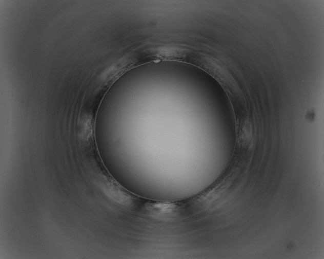 X0000091520478200708241653