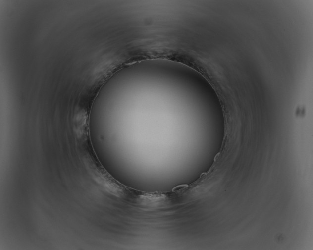 X0000091520480200708241653