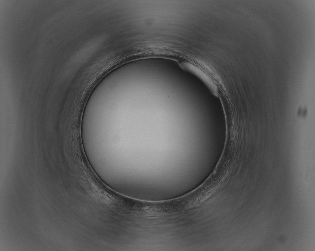X0000091520481200708241653