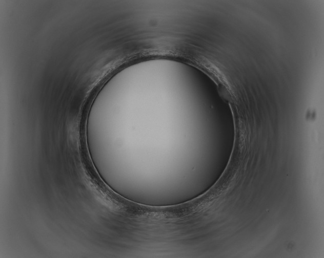 X0000091520482200708241653