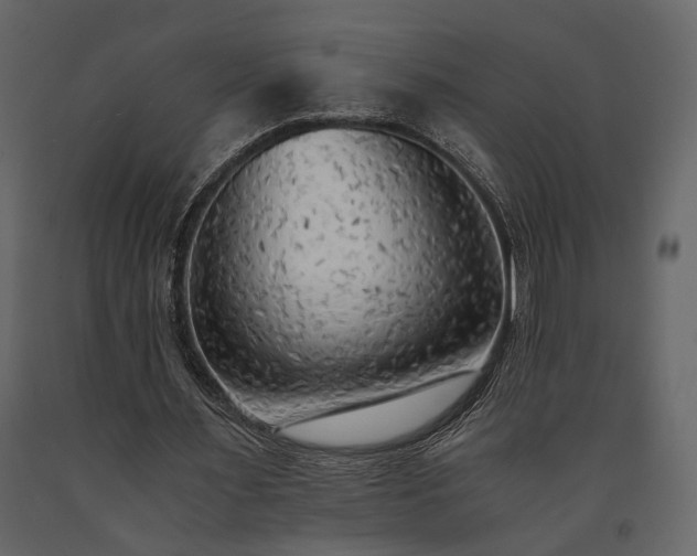 X0000091520483200708241653