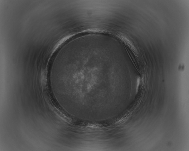 X0000091520484200708241653