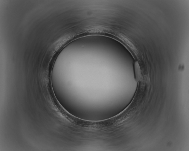 X0000091520485200708241653