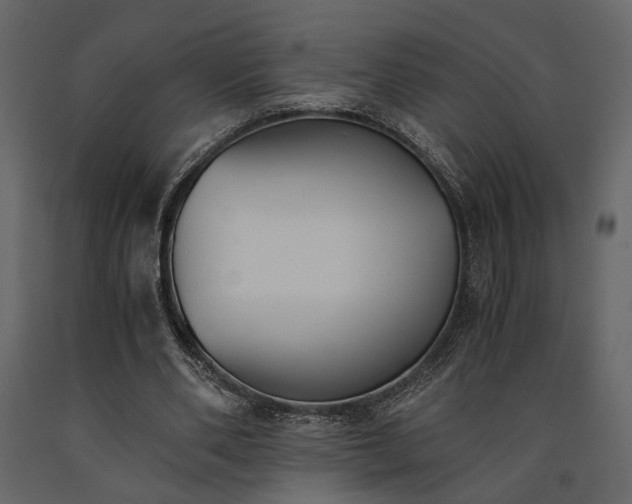 X0000091520486200708241653