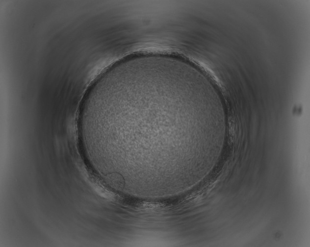 X0000091520487200708241653