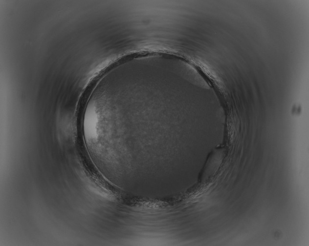 X0000091520488200708241653
