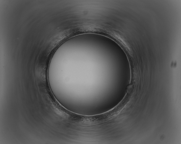 X0000091520489200708241653